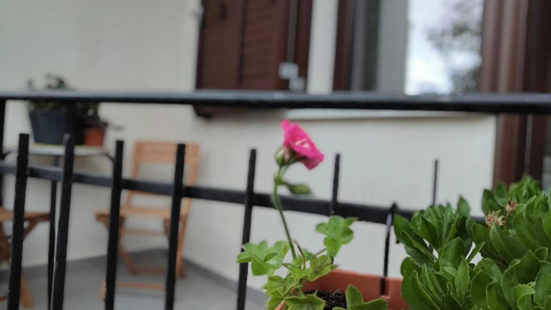 Alojamento de Acomodação e Pequeno-almoço S'Erbei Niedda Guesthouse Seùlo